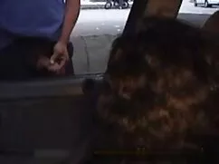 Tayvanlı kız 26 yaşında gerçek amatör türk porno
