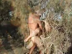 Bir bebek alay gerçek liseli türk porno bir horoz içinde ona kedi o